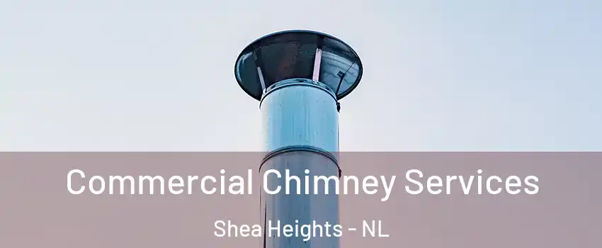  Commercial Chimney Services Shea Heights - NL