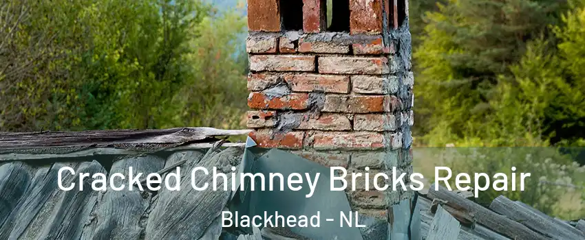  Cracked Chimney Bricks Repair Blackhead - NL