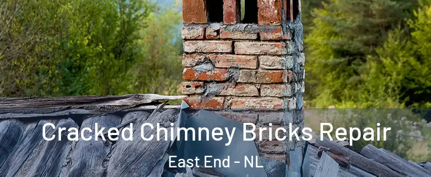  Cracked Chimney Bricks Repair East End - NL