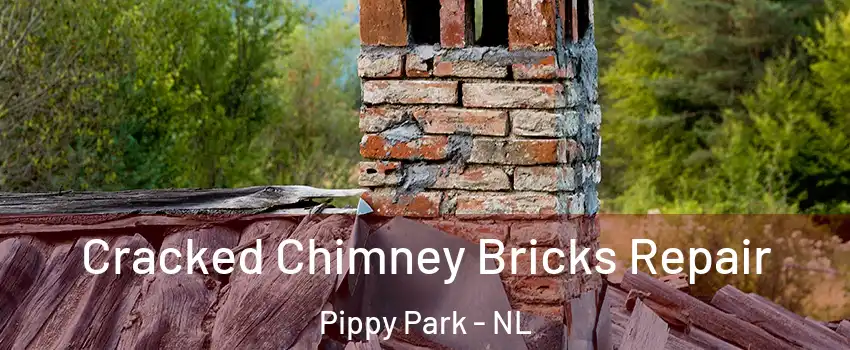  Cracked Chimney Bricks Repair Pippy Park - NL