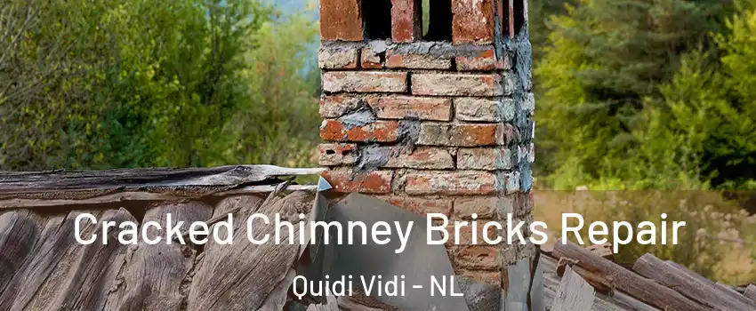  Cracked Chimney Bricks Repair Quidi Vidi - NL