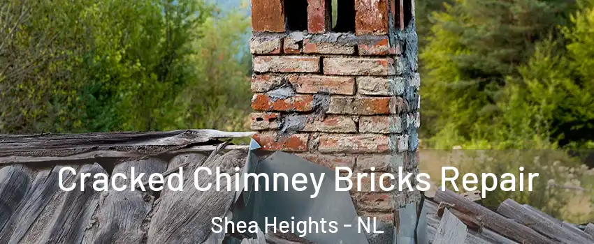  Cracked Chimney Bricks Repair Shea Heights - NL