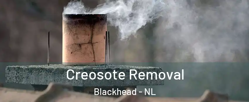  Creosote Removal Blackhead - NL