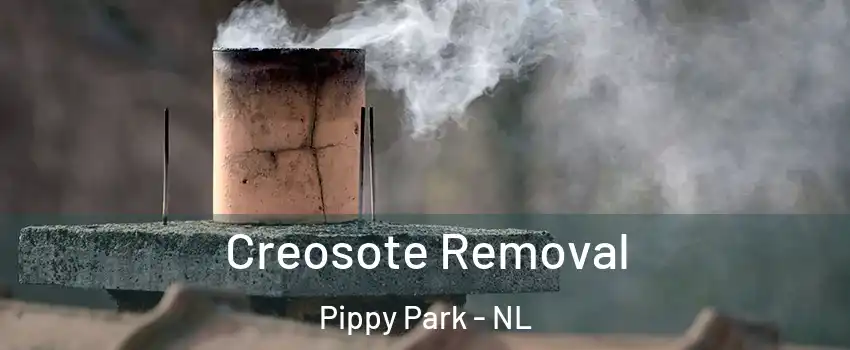  Creosote Removal Pippy Park - NL