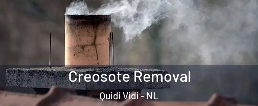  Creosote Removal Quidi Vidi - NL