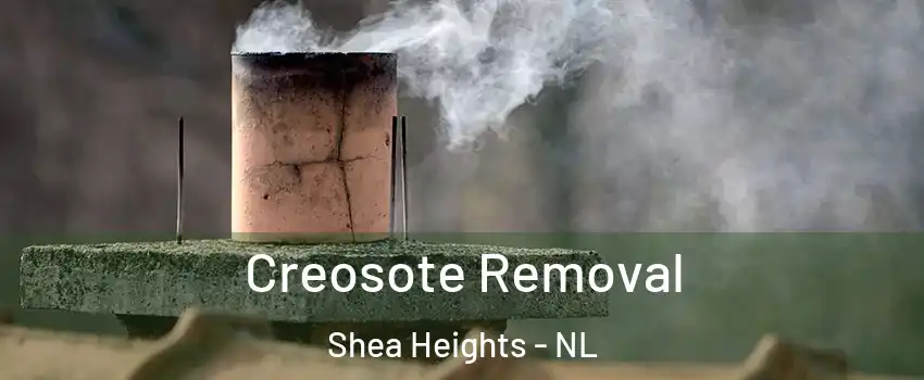  Creosote Removal Shea Heights - NL
