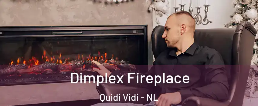  Dimplex Fireplace Quidi Vidi - NL