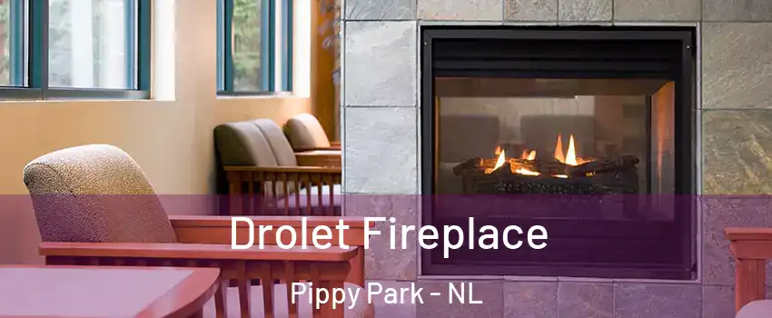 Drolet Fireplace Pippy Park - NL