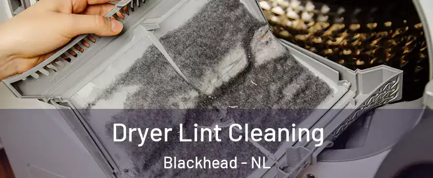  Dryer Lint Cleaning Blackhead - NL