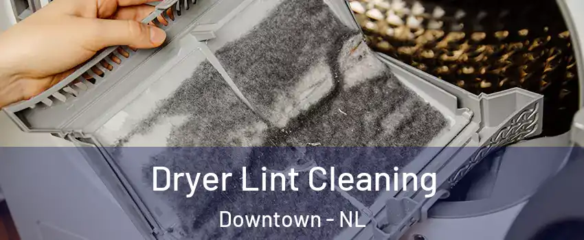  Dryer Lint Cleaning Downtown - NL