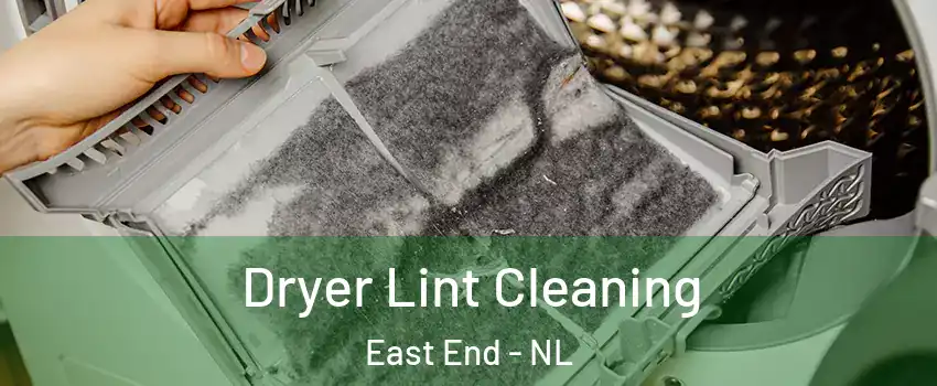  Dryer Lint Cleaning East End - NL