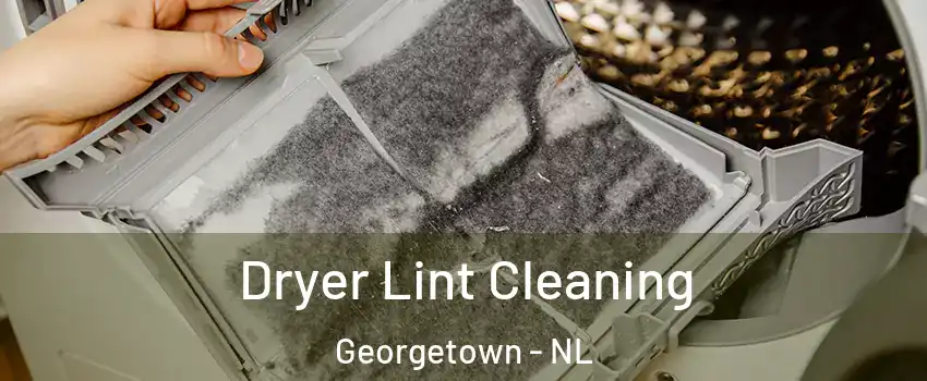  Dryer Lint Cleaning Georgetown - NL