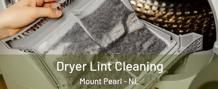 Dryer Lint Cleaning Mount Pearl - NL