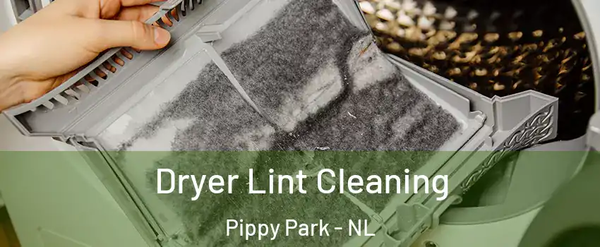  Dryer Lint Cleaning Pippy Park - NL