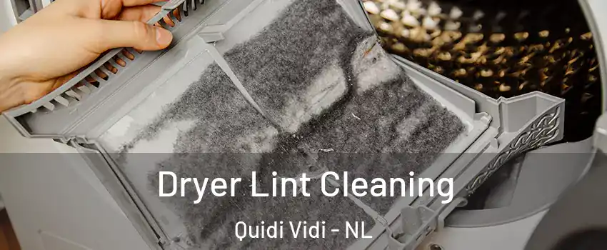  Dryer Lint Cleaning Quidi Vidi - NL