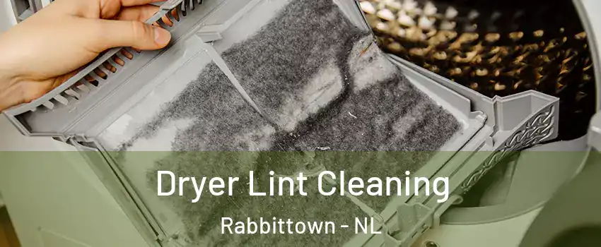  Dryer Lint Cleaning Rabbittown - NL