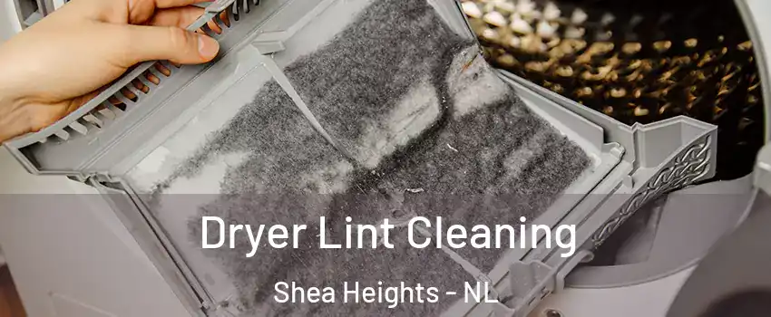  Dryer Lint Cleaning Shea Heights - NL