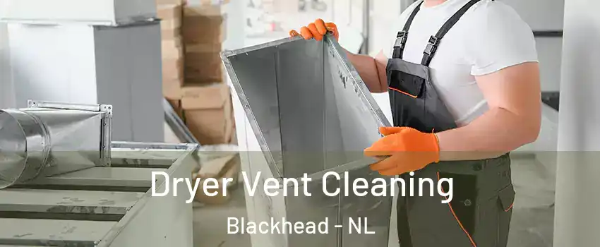  Dryer Vent Cleaning Blackhead - NL