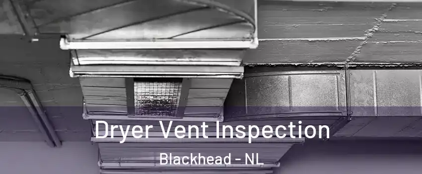  Dryer Vent Inspection Blackhead - NL