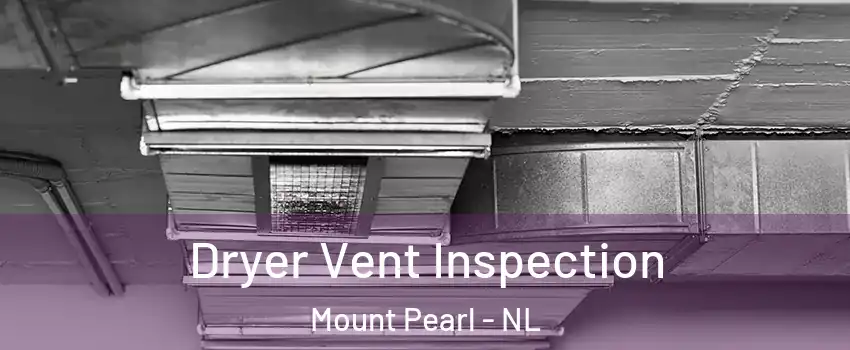  Dryer Vent Inspection Mount Pearl - NL