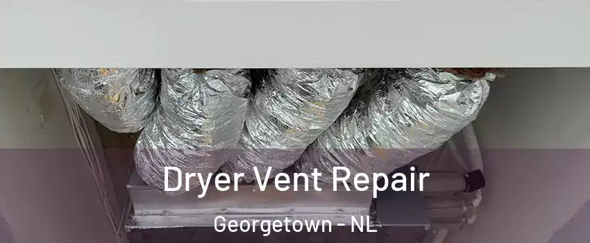  Dryer Vent Repair Georgetown - NL