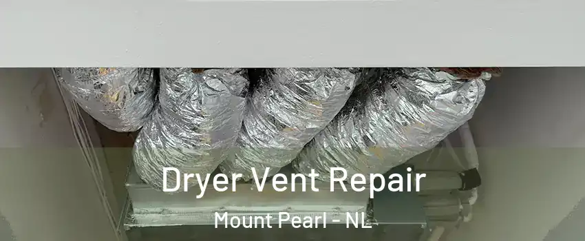  Dryer Vent Repair Mount Pearl - NL