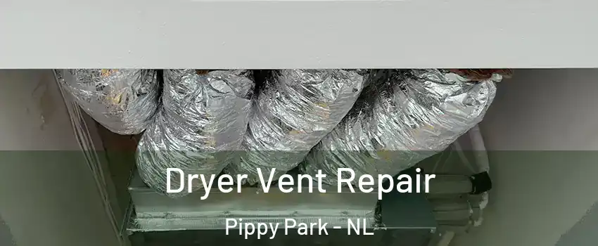  Dryer Vent Repair Pippy Park - NL