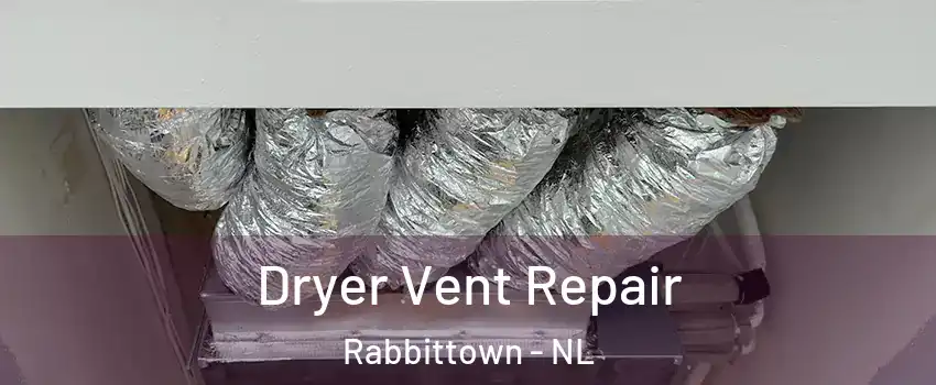  Dryer Vent Repair Rabbittown - NL