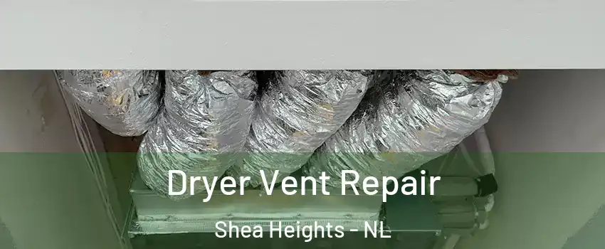  Dryer Vent Repair Shea Heights - NL