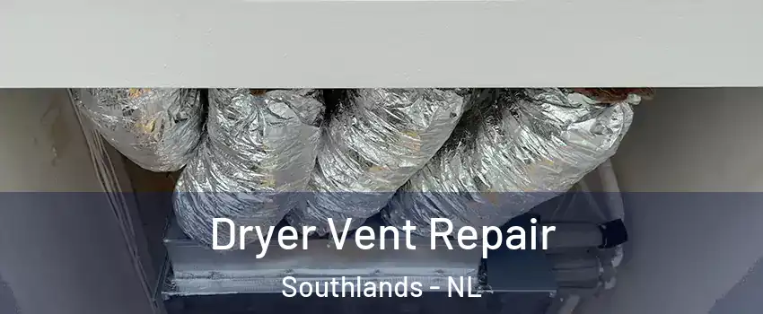 Dryer Vent Repair Southlands - NL