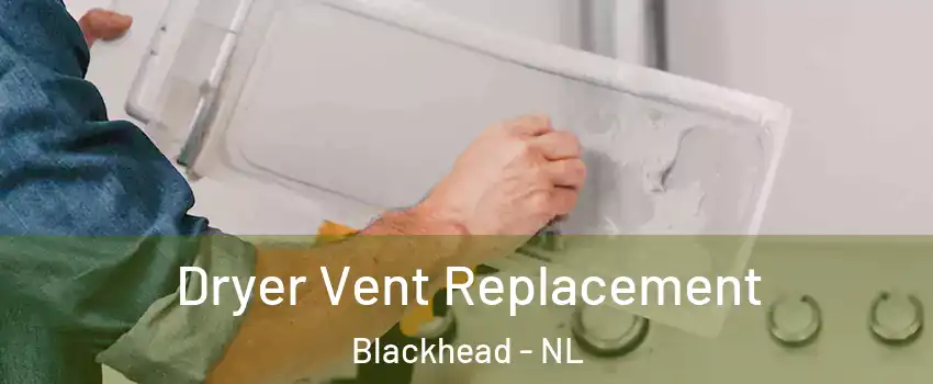  Dryer Vent Replacement Blackhead - NL