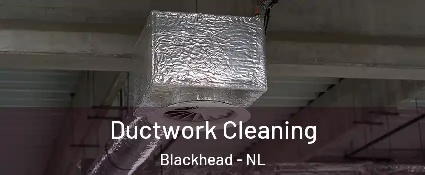  Ductwork Cleaning Blackhead - NL