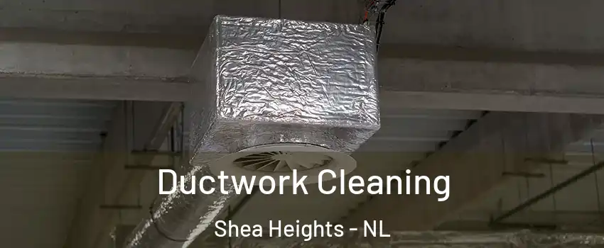  Ductwork Cleaning Shea Heights - NL