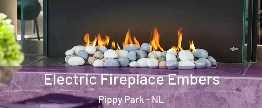  Electric Fireplace Embers Pippy Park - NL