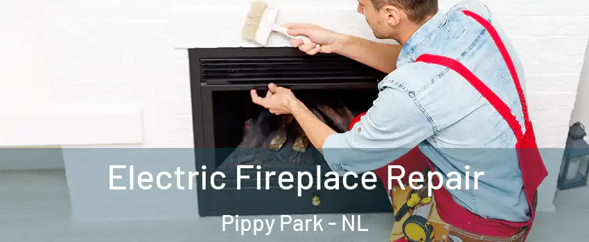  Electric Fireplace Repair Pippy Park - NL
