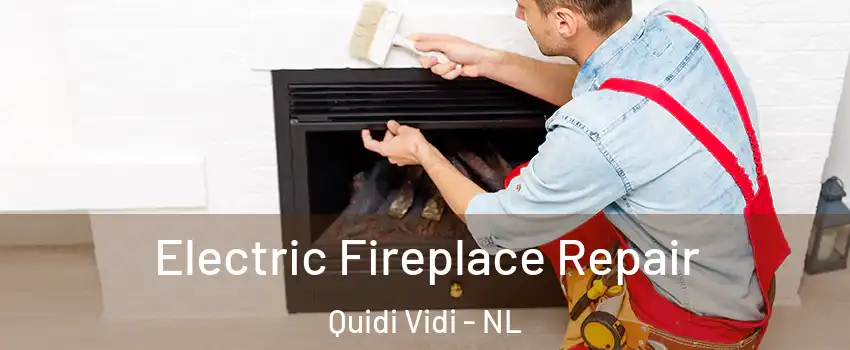  Electric Fireplace Repair Quidi Vidi - NL