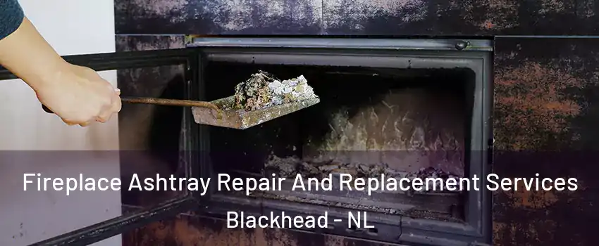 Fireplace Ashtray Repair And Replacement Services Blackhead - NL