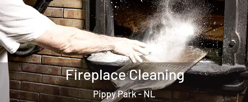  Fireplace Cleaning Pippy Park - NL