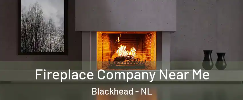  Fireplace Company Near Me Blackhead - NL