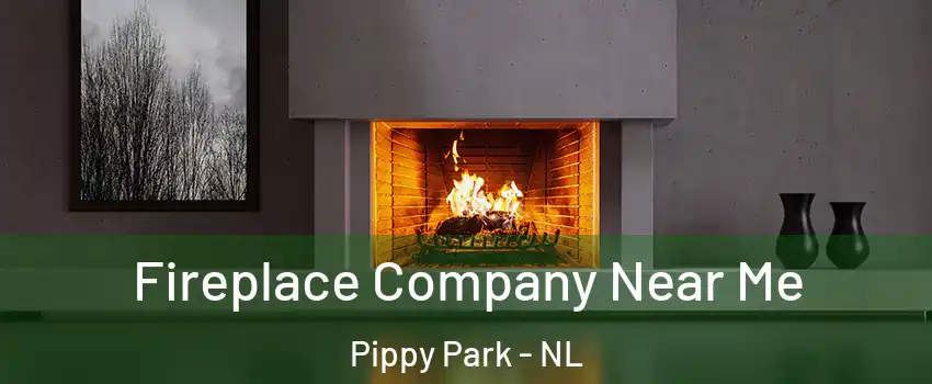  Fireplace Company Near Me Pippy Park - NL
