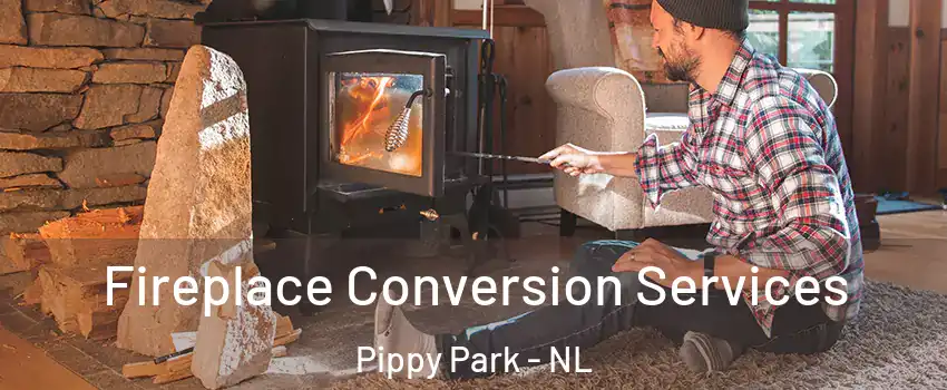  Fireplace Conversion Services Pippy Park - NL