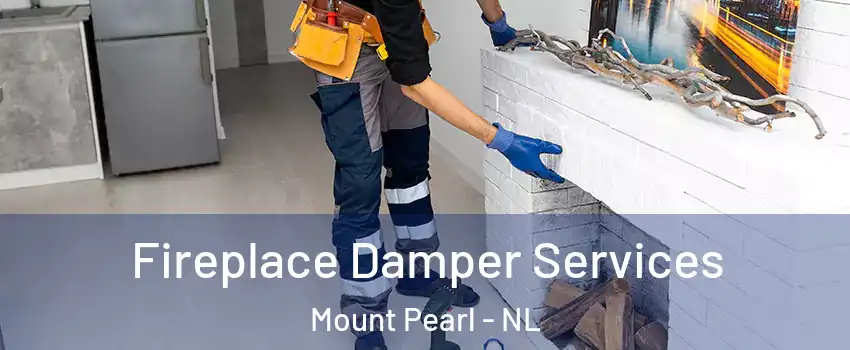 Fireplace Damper Services Mount Pearl - NL