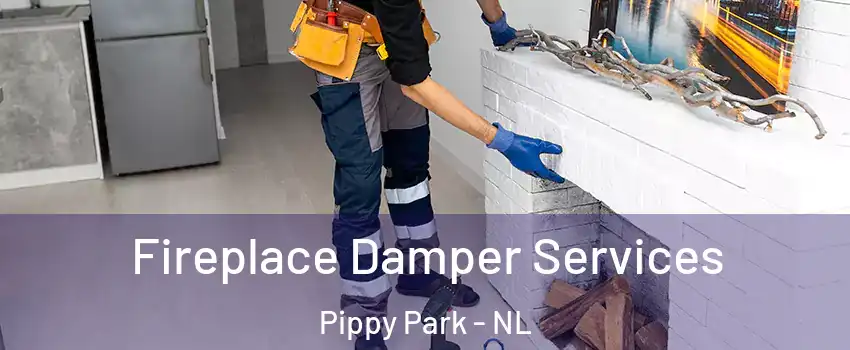 Fireplace Damper Services Pippy Park - NL