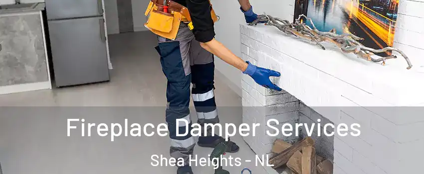 Fireplace Damper Services Shea Heights - NL