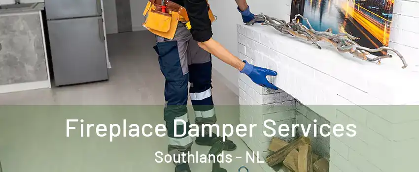 Fireplace Damper Services Southlands - NL