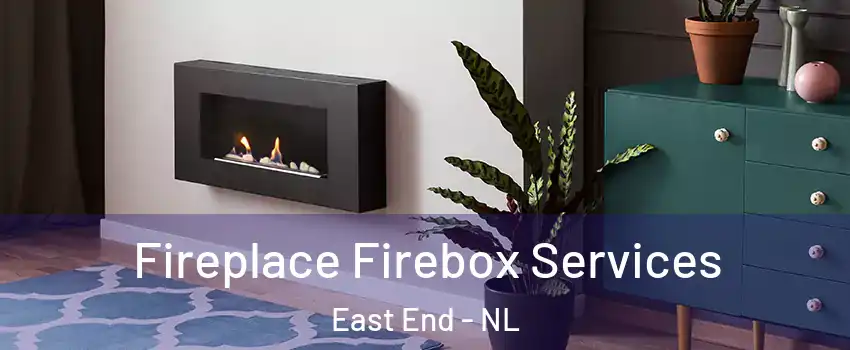  Fireplace Firebox Services East End - NL
