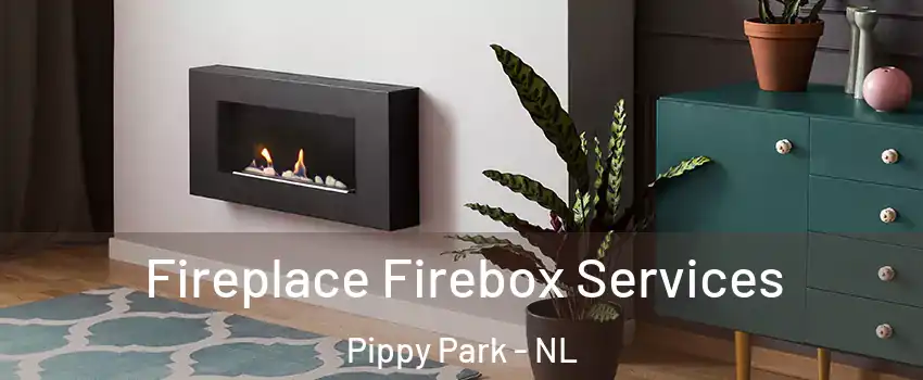  Fireplace Firebox Services Pippy Park - NL