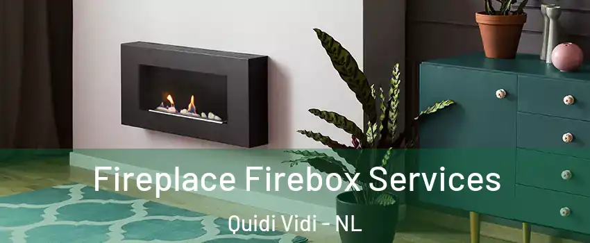  Fireplace Firebox Services Quidi Vidi - NL