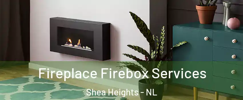  Fireplace Firebox Services Shea Heights - NL
