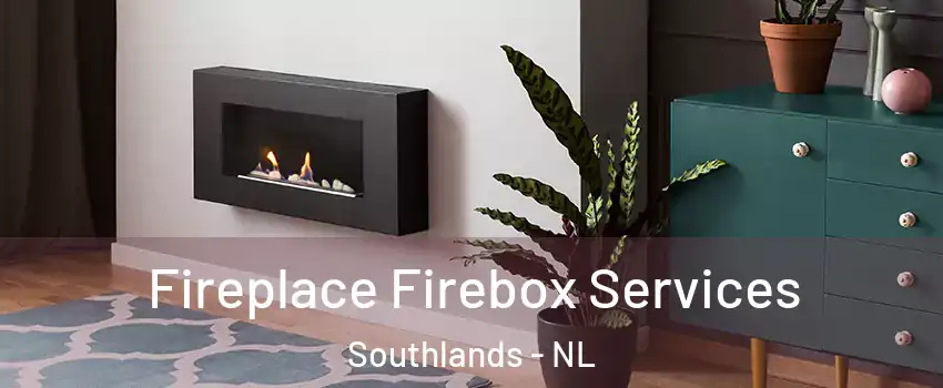  Fireplace Firebox Services Southlands - NL